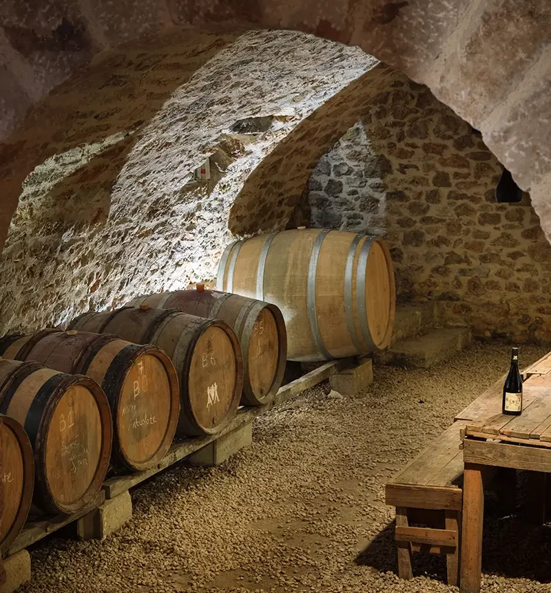 cave du domaine les terres promises