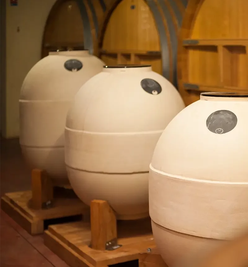 Des jarres dans la cave du château de pibarnon