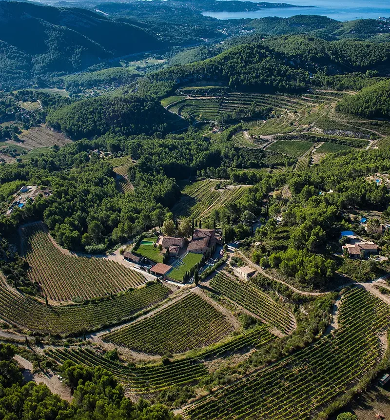 Paysage avec des vignes du château de pibarnon