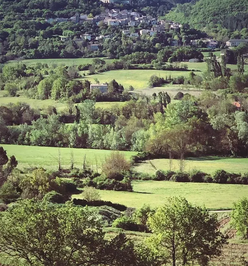 Paysage du domaine myrko tepus