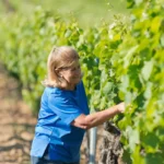 Vigneronne du château barbeyrolles