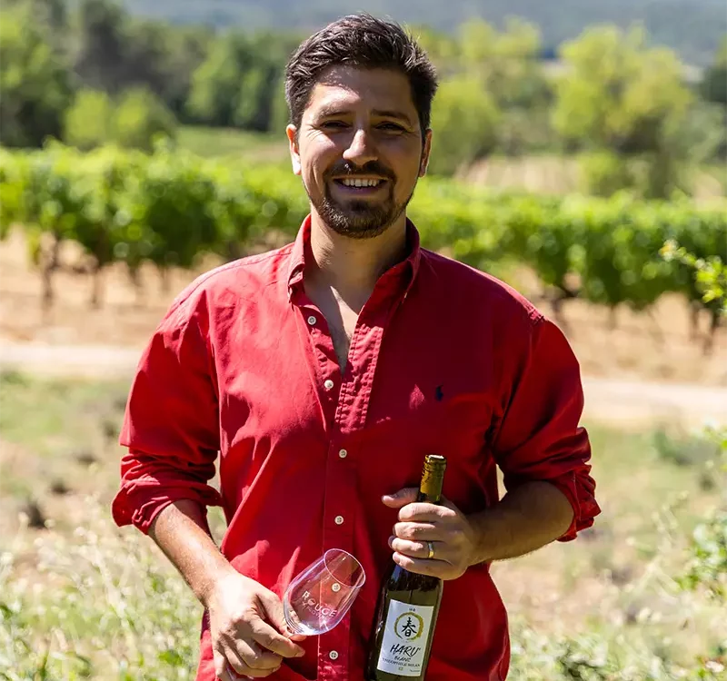 Vigneron du domaine henri milan