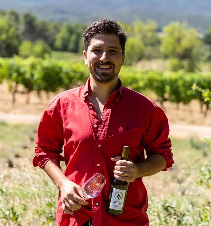 Vigneron du domaine henri milan