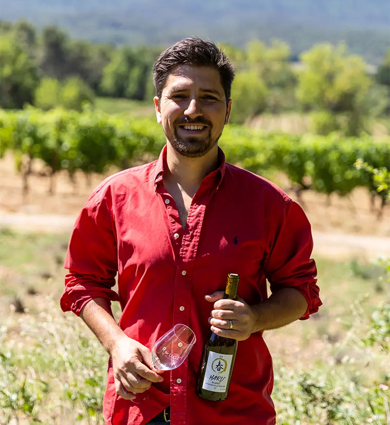 Vigneron du domaine henri milan