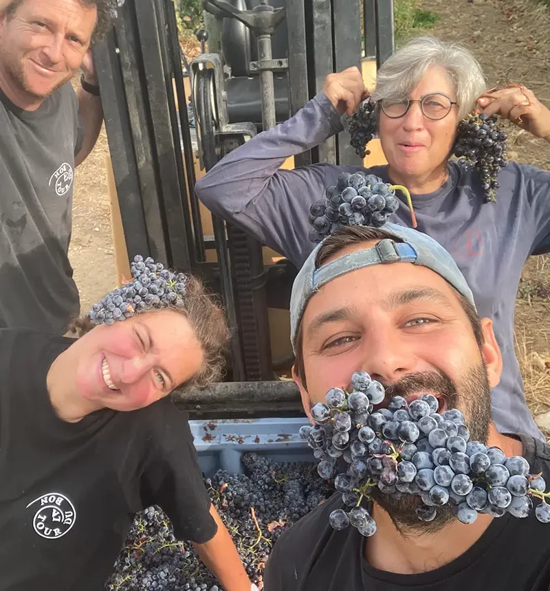 L'équipe de vendangeurs du domaine de La Tour du Bon