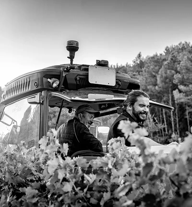 Deux vignerons pendant les vendanges du domaine d'éole