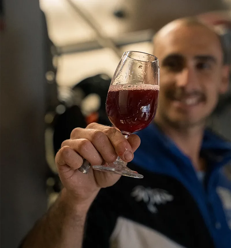 Dégustation de vin du domaine Gavoty