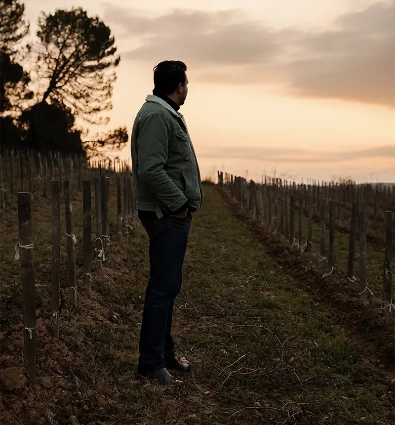 Vigneron du domaine myrko tepus