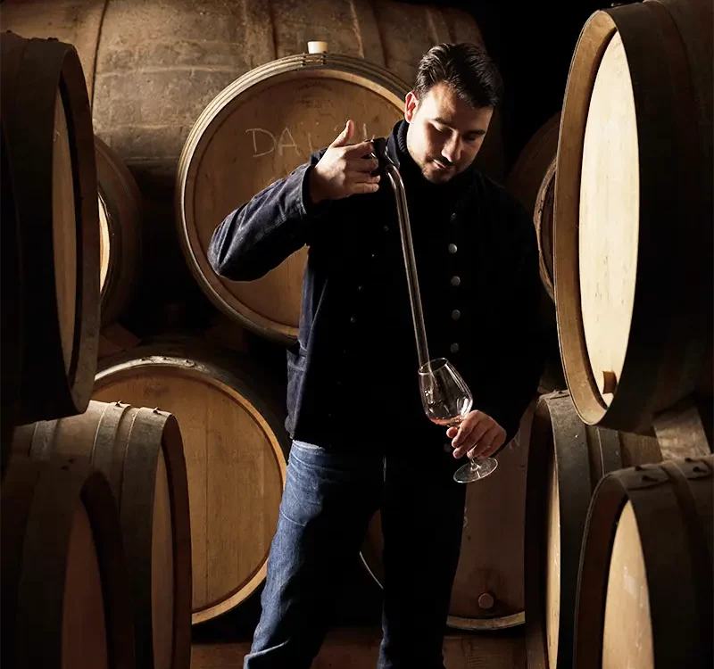 Vigneron du domaine myrko tepus