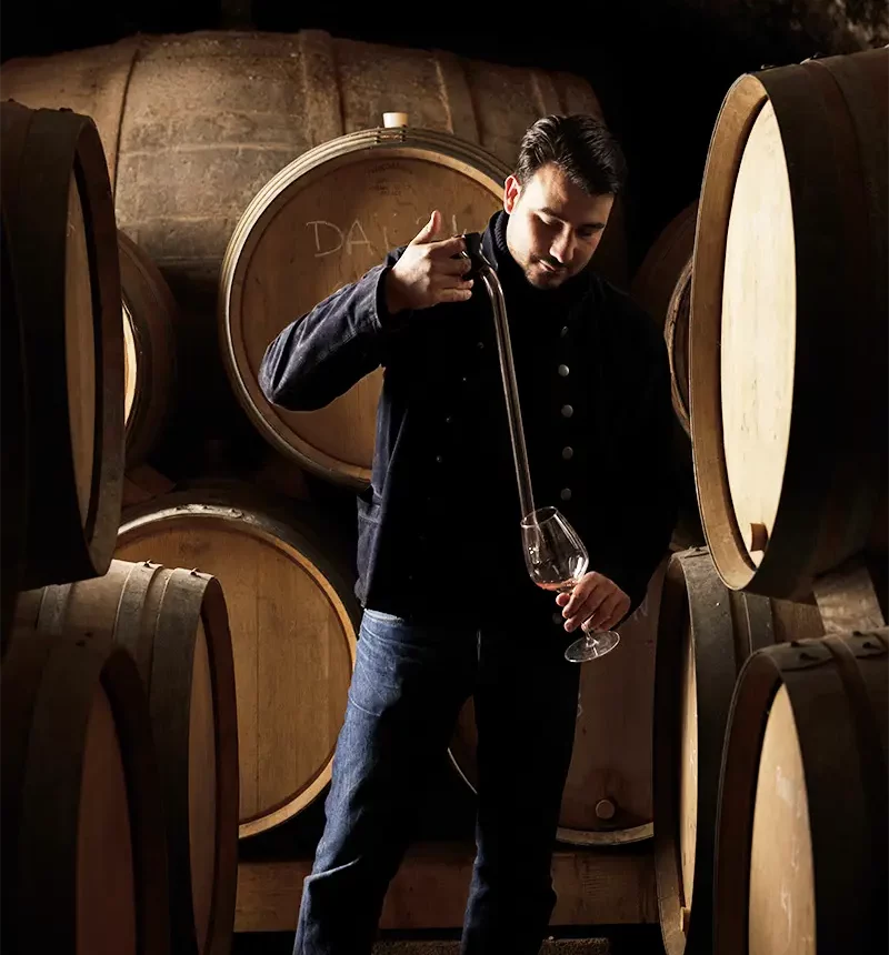 Vigneron du domaine myrko tepus