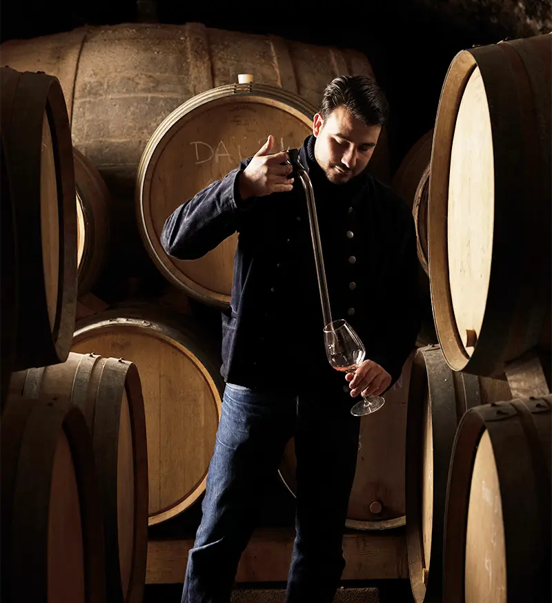 Vigneron du domaine myrko tepus