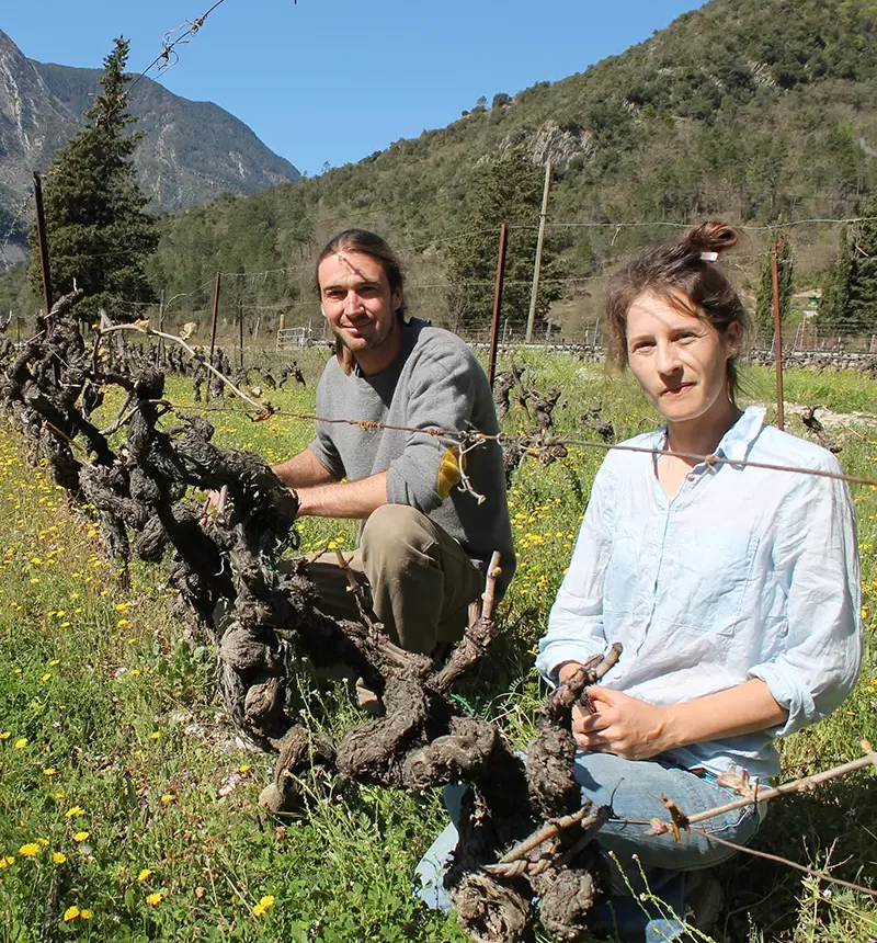 Les vignerons du clos saint joseph