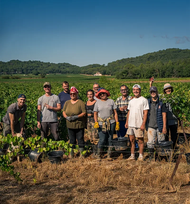 Les vendangeurs du domaine Gavoty