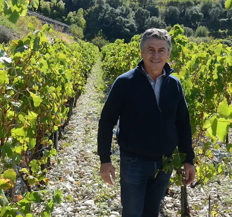 Vigneron du clos saint-vincent