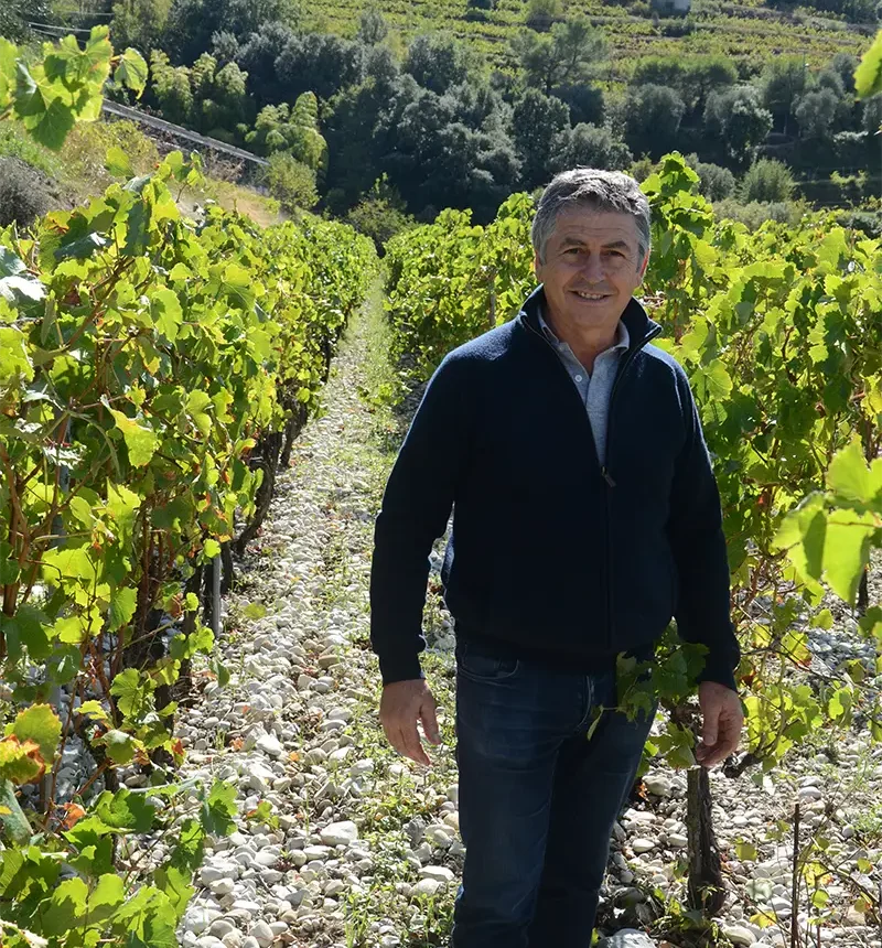 Vigneron du clos saint-vincent