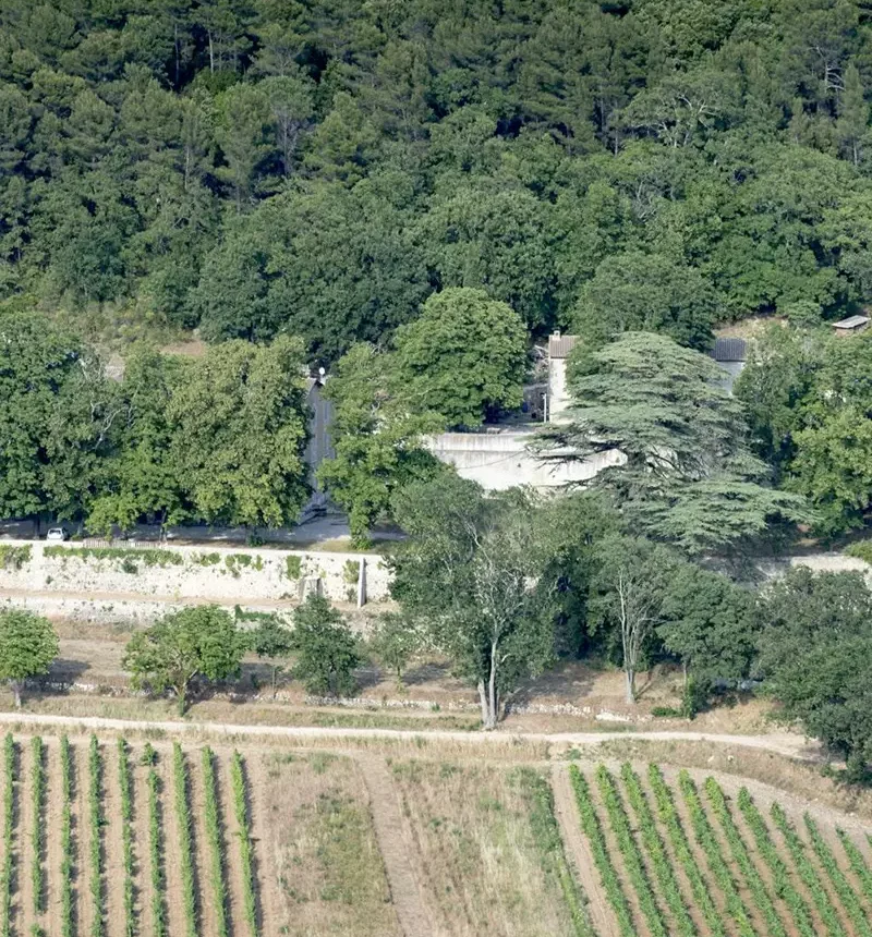 Vignes du château de Roquefort